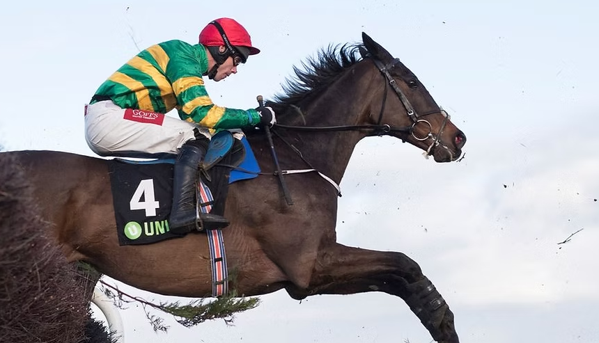 Comeback Stories: Horses Who Returned to Win